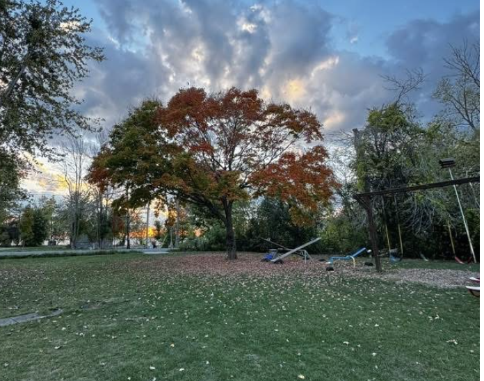 screen shot 2026 04 06 at 8.33.18 am